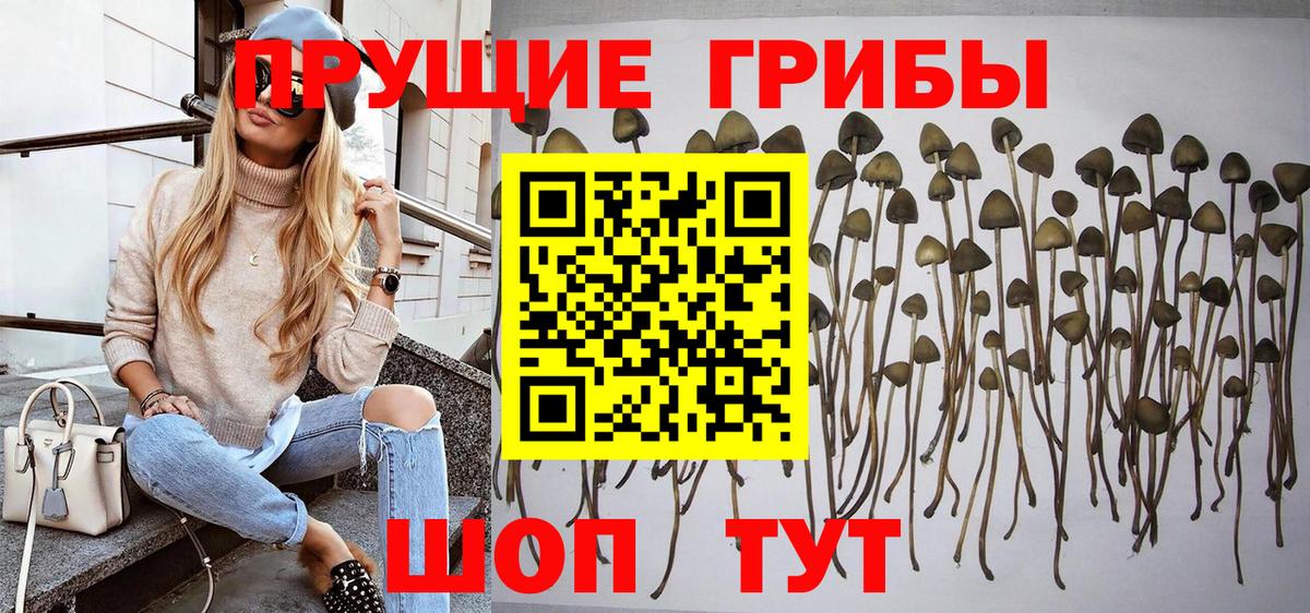 даркнет сайт  Вход с VPN  Россошь  Галлюциногенные грибы GOLDEN TEACHER 